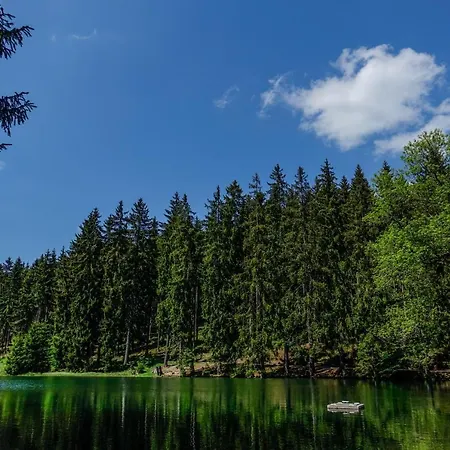 萨尔酒店 酒店 *